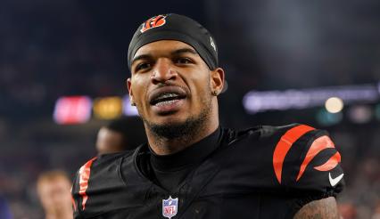 这不仅证明 这不仅证明