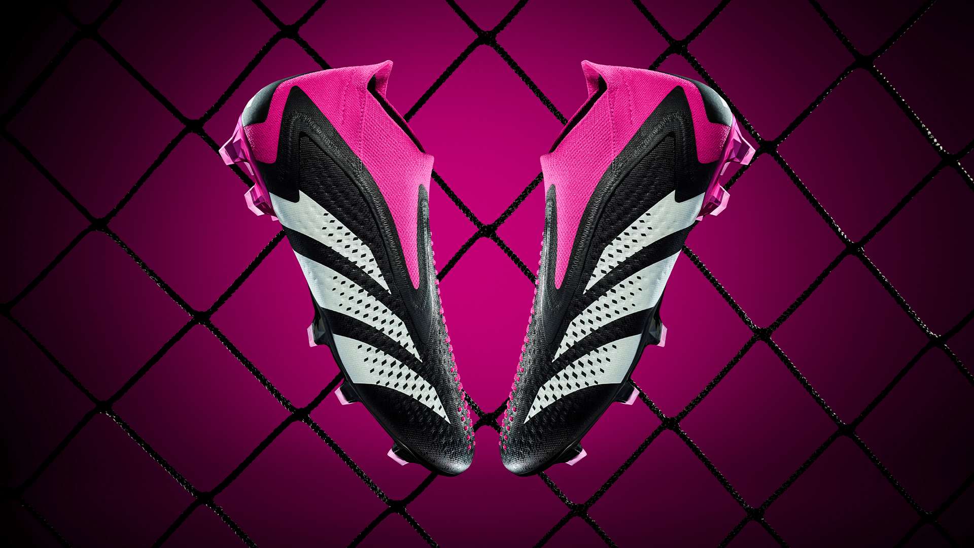 的无上荣誉 的无上荣誉